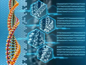 美國生物化學專業研究生排名及生物技術研究與開發詳解