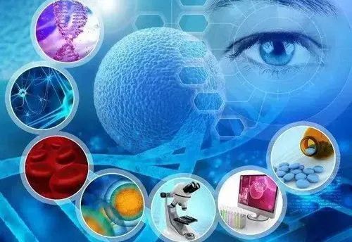 生物科學與生命科學的區(qū)別(二) 聚焦生物技術研究與開發(fā)
