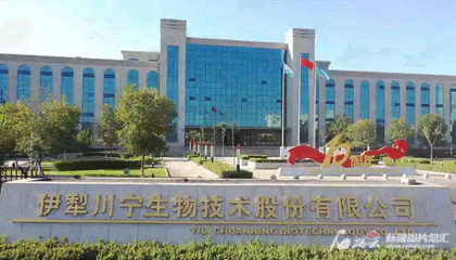 川寧生物創(chuàng)業(yè)板成功上市，引領(lǐng)生物技術(shù)研發(fā)新篇章